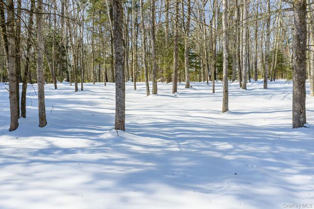 943 State Route 55, Eldred, NY 12732