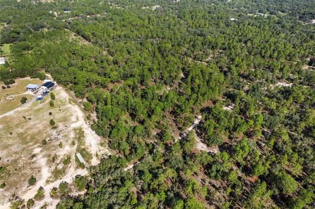 10686 N STATUE POINT, Dunnellon, FL 34433