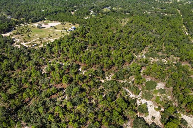 10686 N STATUE POINT, Dunnellon, FL 34433