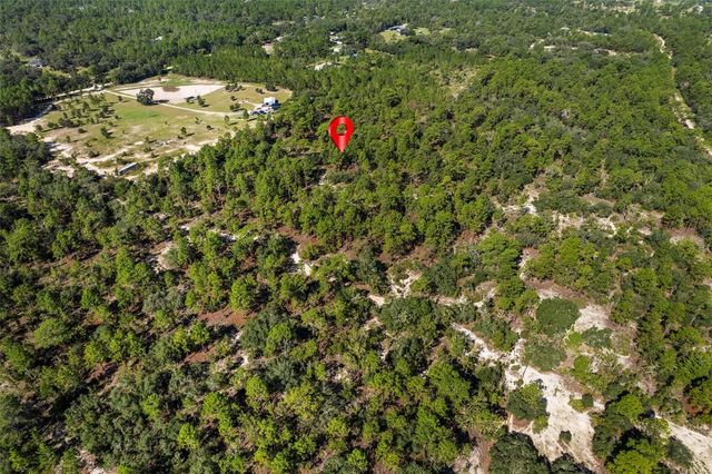 10686 N STATUE POINT, Dunnellon, FL 34433