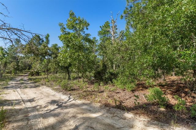 10686 N STATUE POINT, Dunnellon, FL 34433