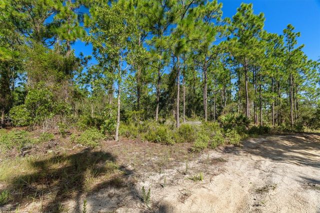 10686 N STATUE POINT, Dunnellon, FL 34433