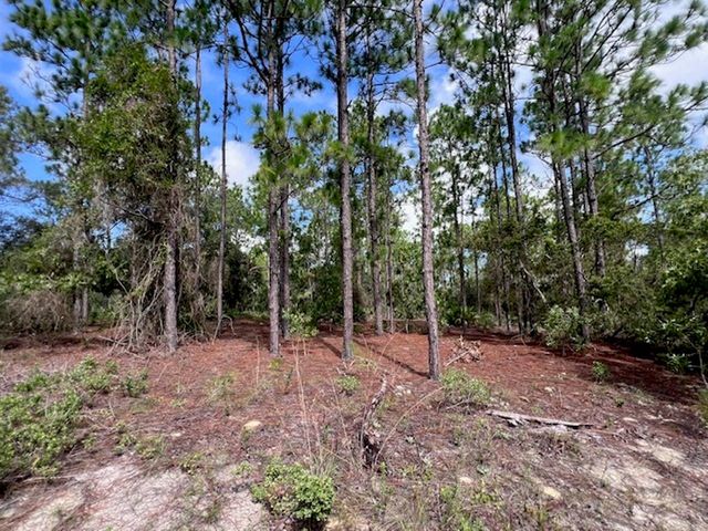 10686 N STATUE POINT, Dunnellon, FL 34433