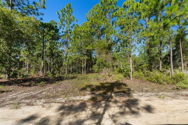 10686 N STATUE POINT, Dunnellon, FL 34433