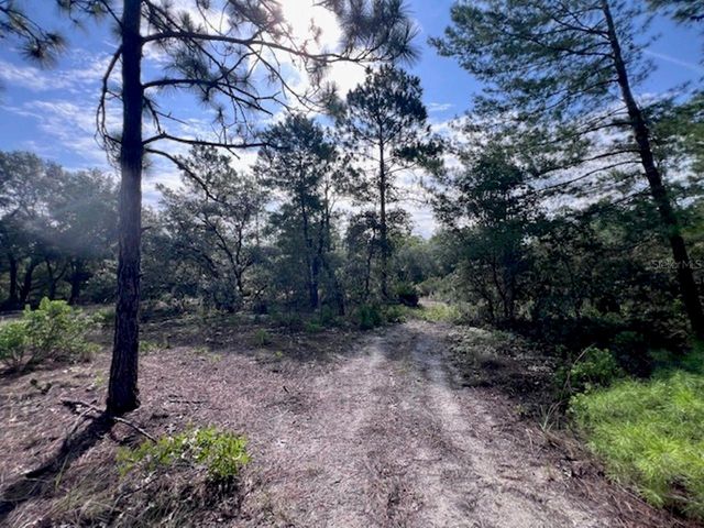10686 N STATUE POINT, Dunnellon, FL 34433