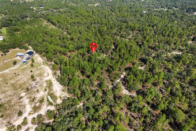 10686 N STATUE POINT, Dunnellon, FL 34433