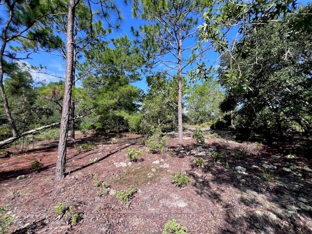 10686 N STATUE POINT, Dunnellon, FL 34433