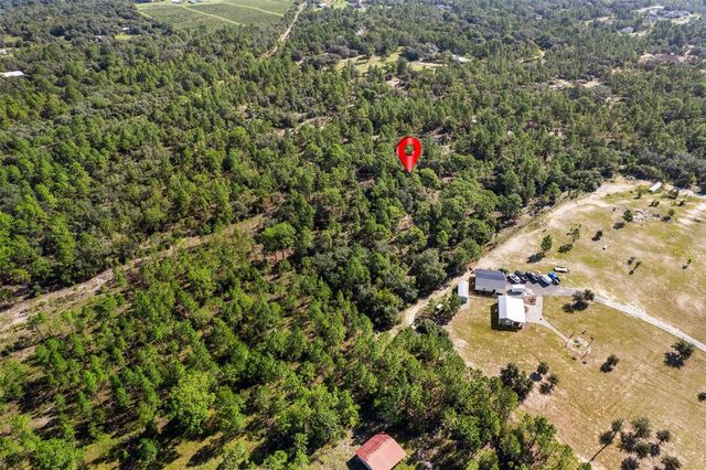 10686 N STATUE POINT, Dunnellon, FL 34433
