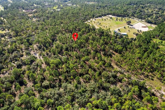 10686 N STATUE POINT, Dunnellon, FL 34433