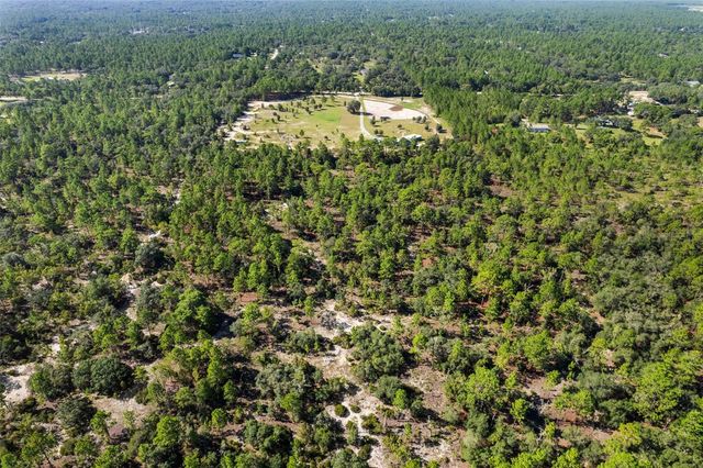 10686 N STATUE POINT, Dunnellon, FL 34433