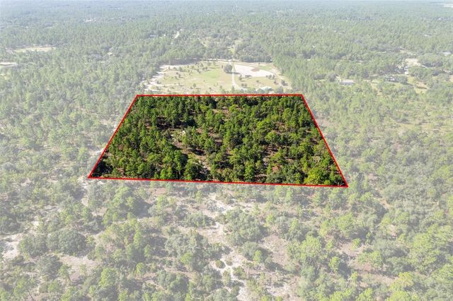10686 N STATUE POINT, Dunnellon, FL 34433