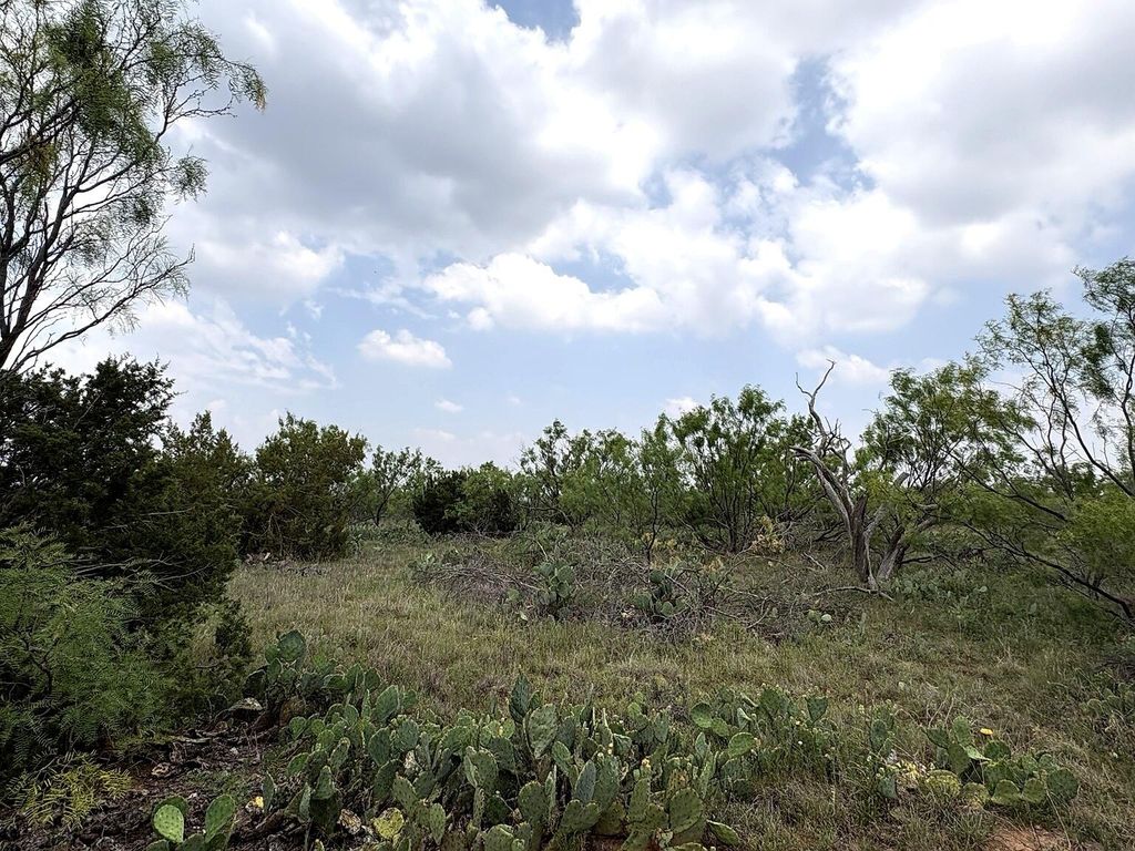 Image 10 of property listing at 377 Axis Lp, Robert Lee, TX 76945