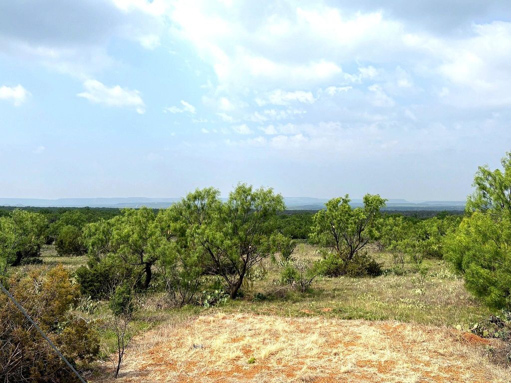Image 11 of property listing at 377 Axis Lp, Robert Lee, TX 76945