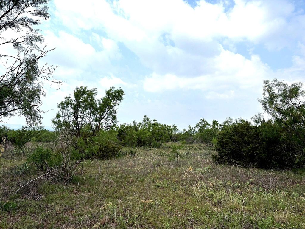 Image 14 of property listing at 377 Axis Lp, Robert Lee, TX 76945