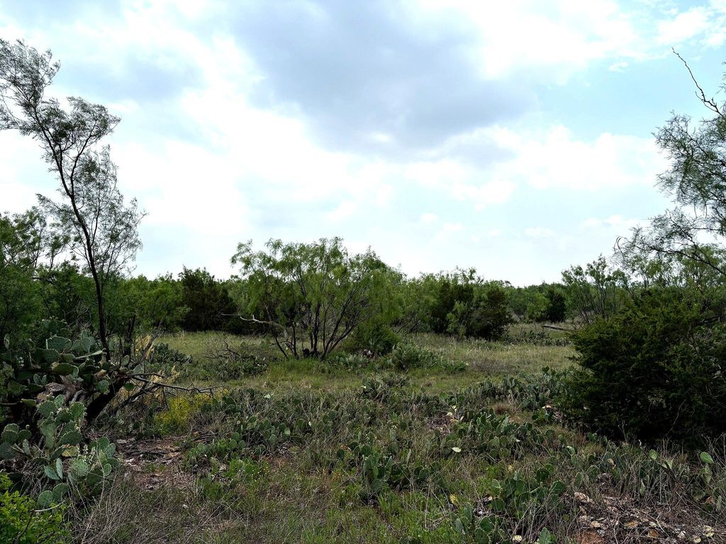 Image 15 of property listing at 377 Axis Lp, Robert Lee, TX 76945