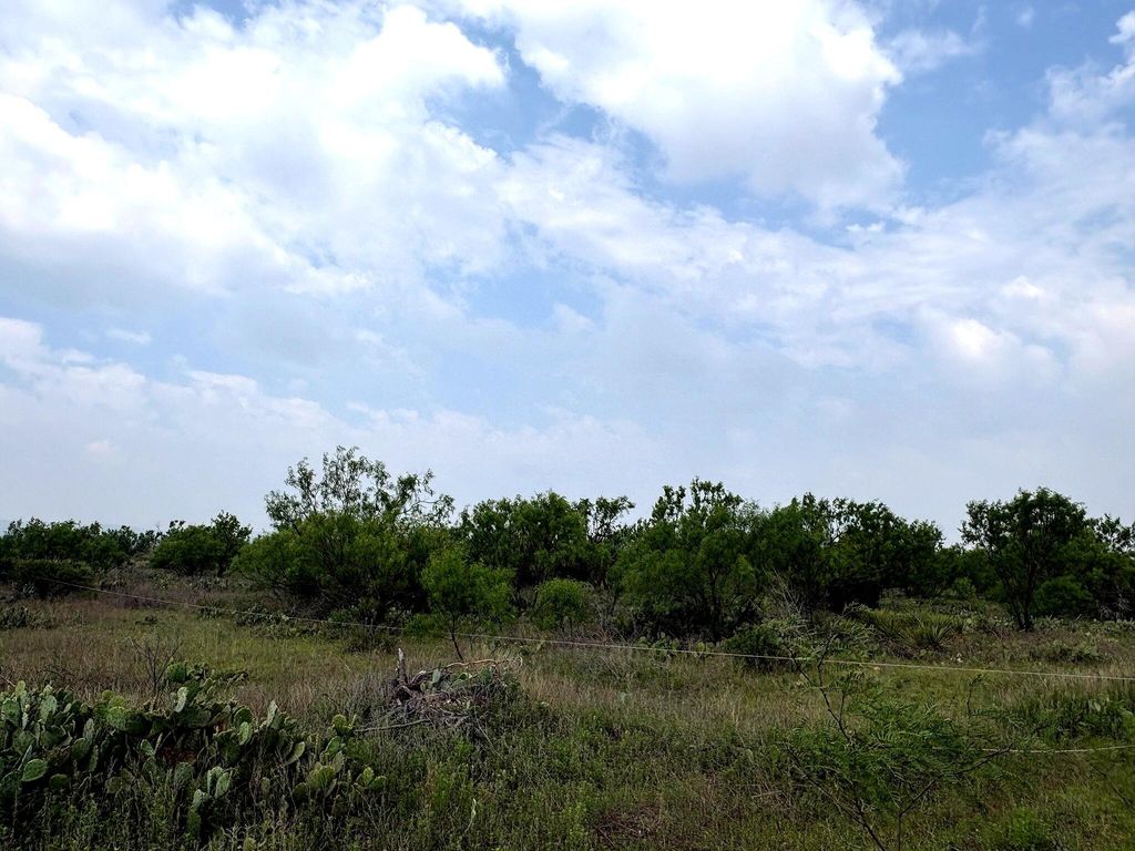 Image 17 of property listing at 377 Axis Lp, Robert Lee, TX 76945