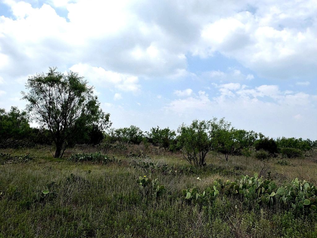 Image 18 of property listing at 377 Axis Lp, Robert Lee, TX 76945