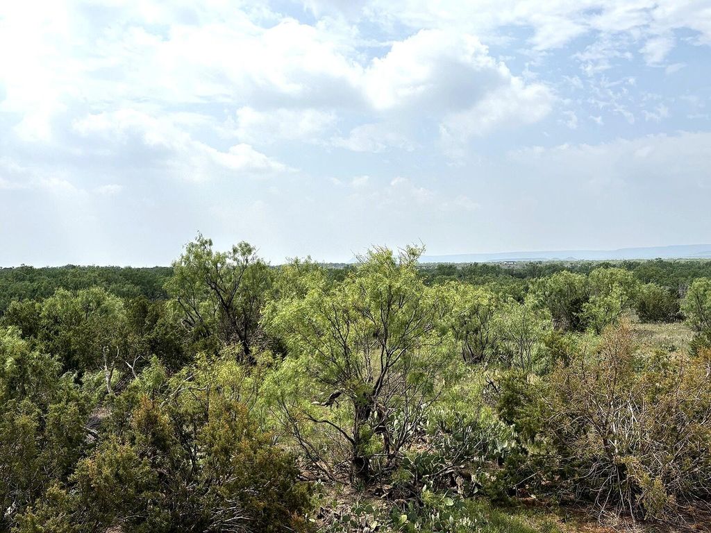 Image 2 of property listing at 377 Axis Lp, Robert Lee, TX 76945