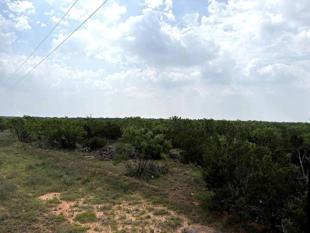 Image 3 of property listing at 377 Axis Lp, Robert Lee, TX 76945