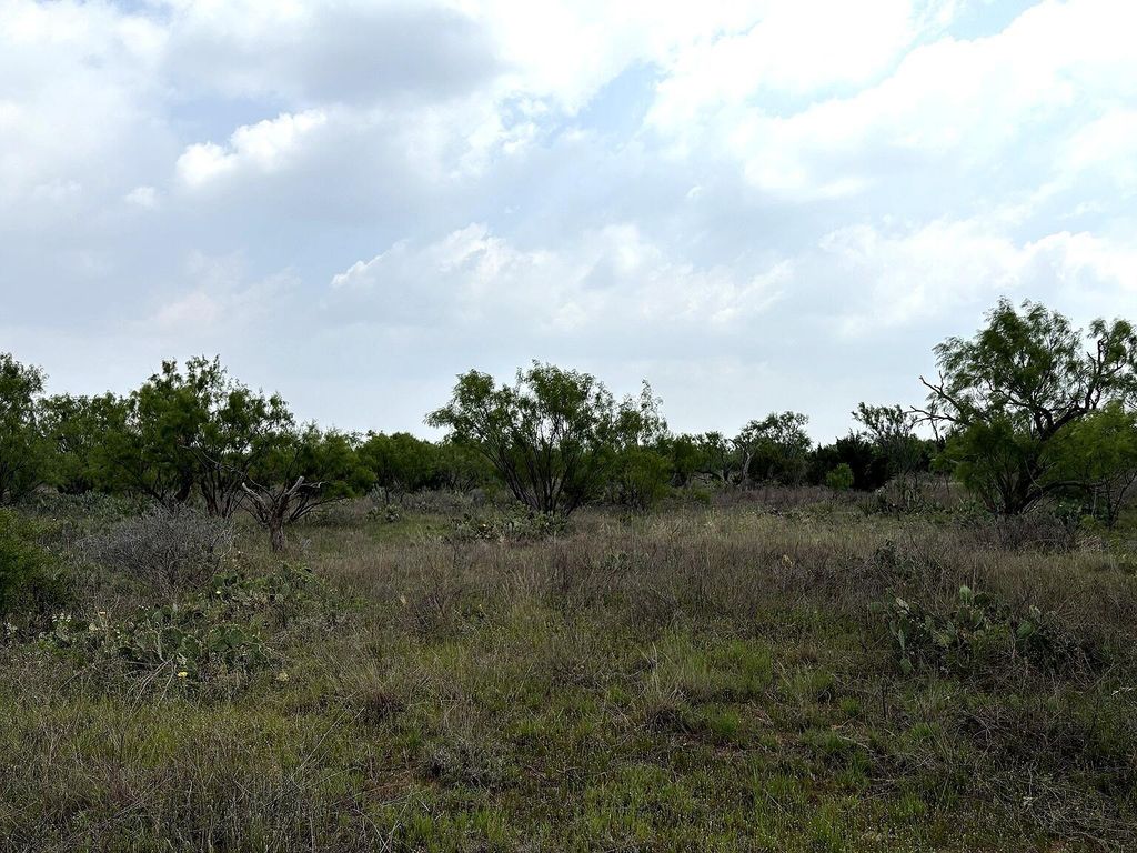 Image 4 of property listing at 377 Axis Lp, Robert Lee, TX 76945