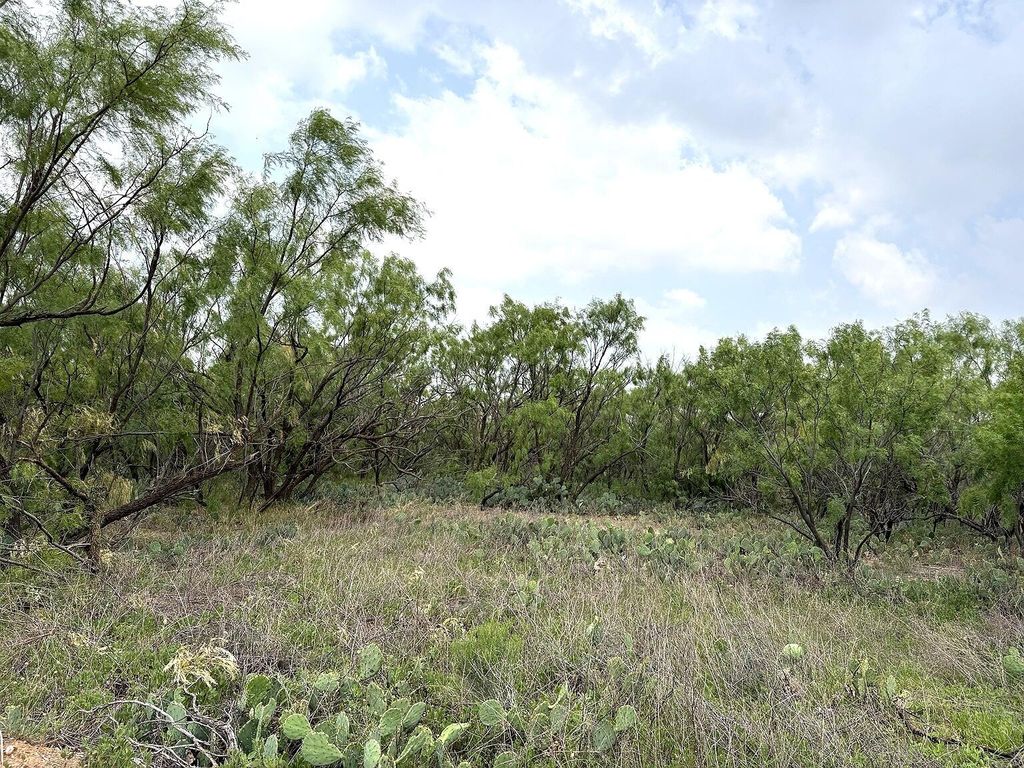 Image 5 of property listing at 377 Axis Lp, Robert Lee, TX 76945