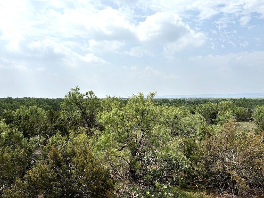 Image 6 of property listing at 377 Axis Lp, Robert Lee, TX 76945