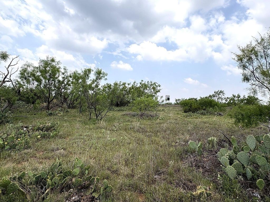 Image 8 of property listing at 377 Axis Lp, Robert Lee, TX 76945