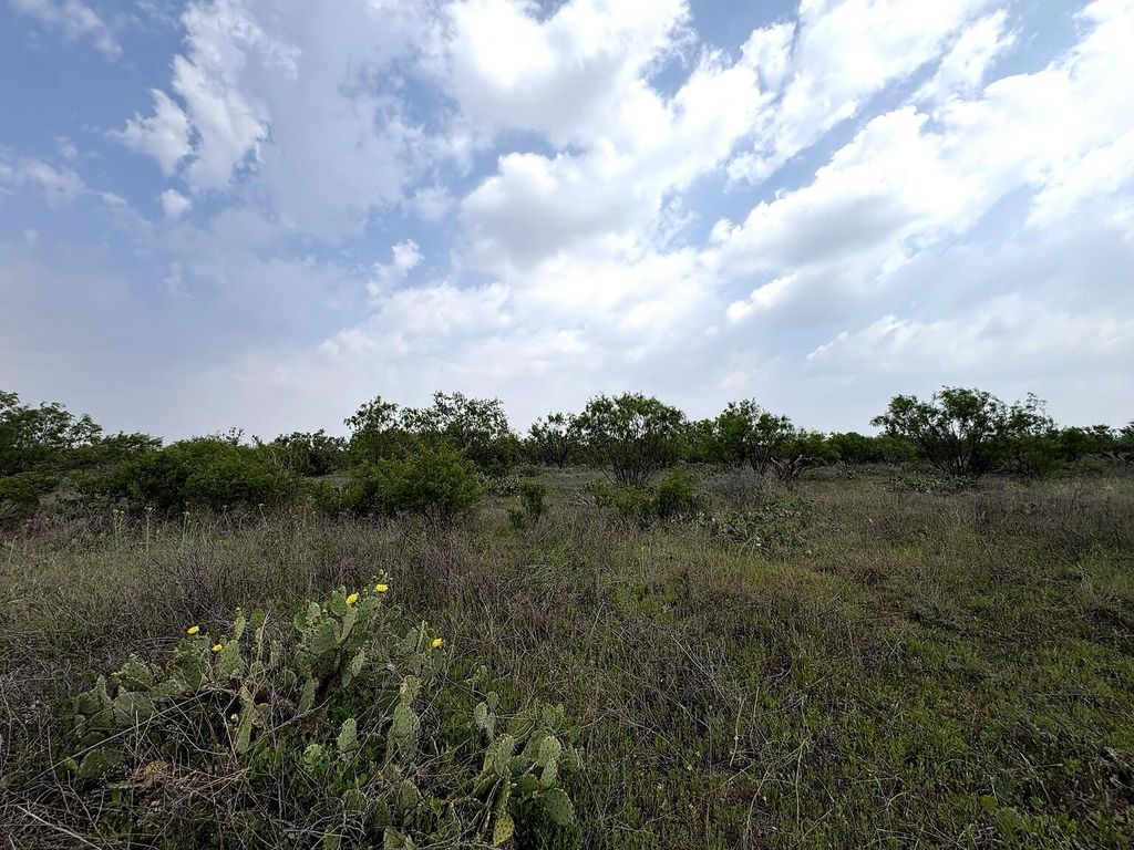 Image 9 of property listing at 377 Axis Lp, Robert Lee, TX 76945