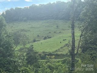 22 Fern Gully None, Marshall, NC 28753