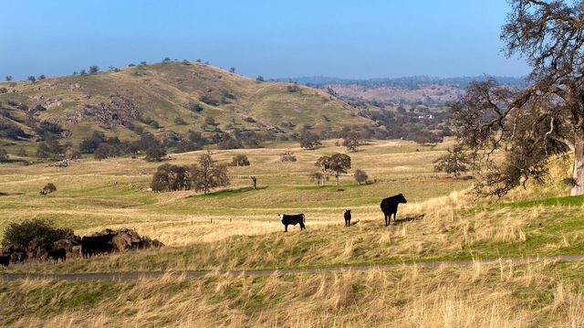 19623 Road 211, Friant, CA 93626