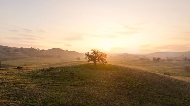 19623 Road 211, Friant, CA 93626