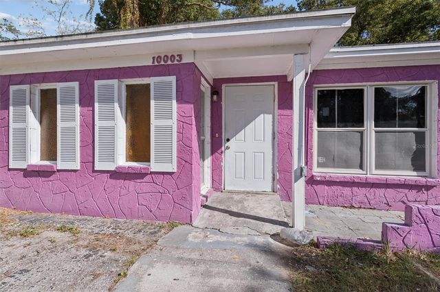 10003 N 24TH STREET, Tampa, FL 33612