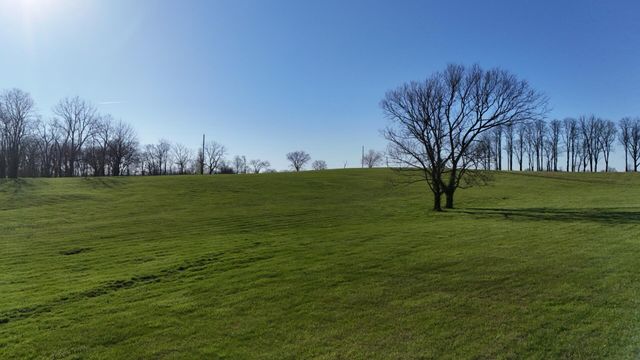 459 Locust Fork Road, Stamping Ground, KY 40379