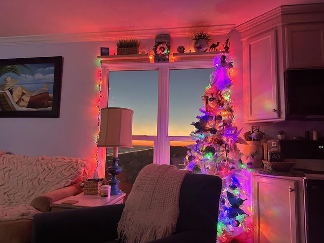 10811 San Luis Pass Road 1308, Galveston, TX 77554