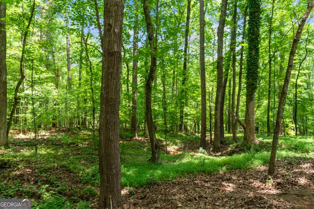 1071 Old Mill Drive, Watkinsville, GA 30677