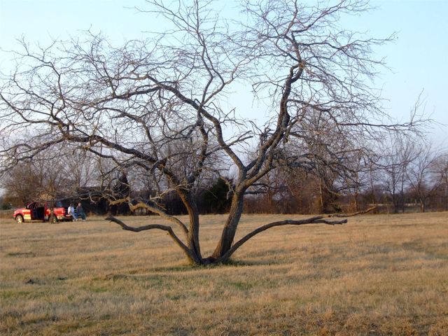 TBD Cr-122, Kaufman, TX 75142