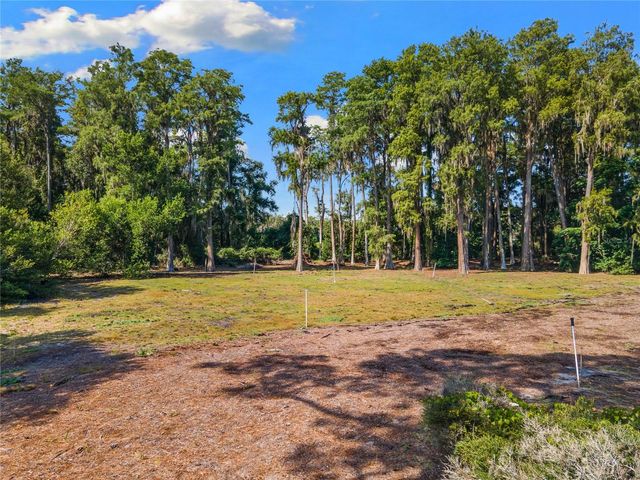 18150 BURRELL ROAD, Odessa, FL 33556