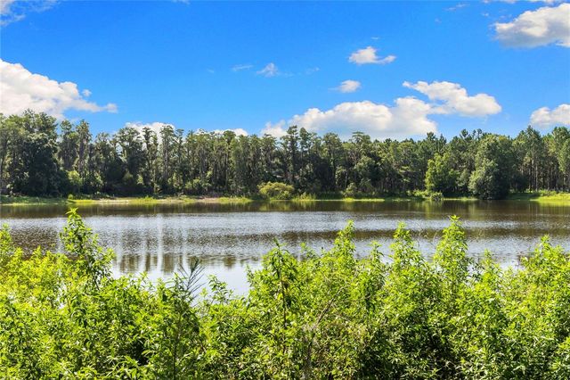 18150 BURRELL ROAD, Odessa, FL 33556