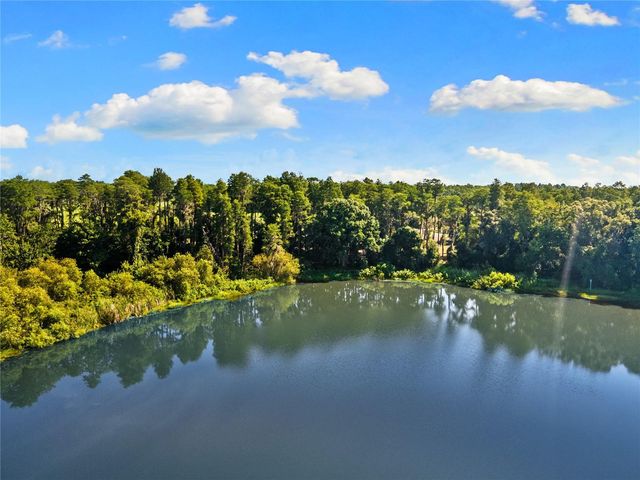 18150 BURRELL ROAD, Odessa, FL 33556