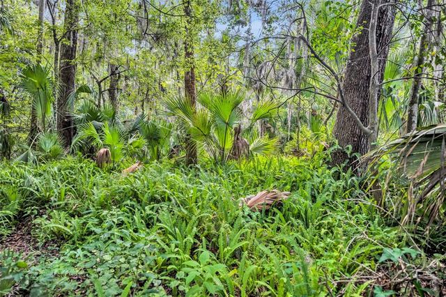 1085 ENTERPRISE OSTEEN ROAD, Deltona, FL 32725