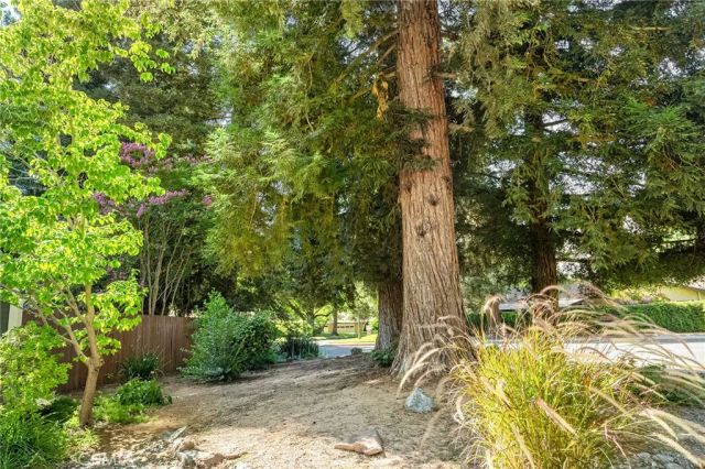 493 Autumn Gold Drive, Chico, CA 95973