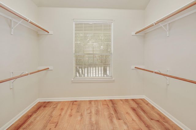 11904 Quassia DR, Austin, TX 78739