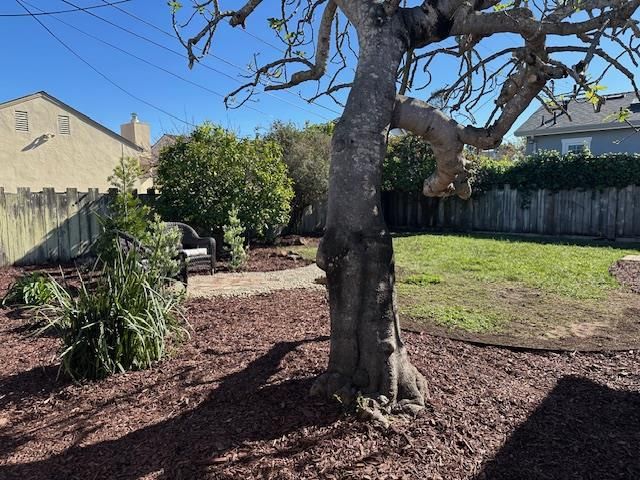 1125 DUFFERIN Avenue, Burlingame, CA 94010