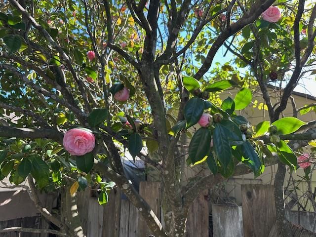 1125 DUFFERIN Avenue, Burlingame, CA 94010