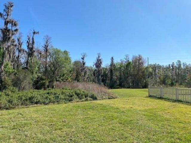 16142 MONTEREY GREENS CIRCLE, Tampa, FL 33647