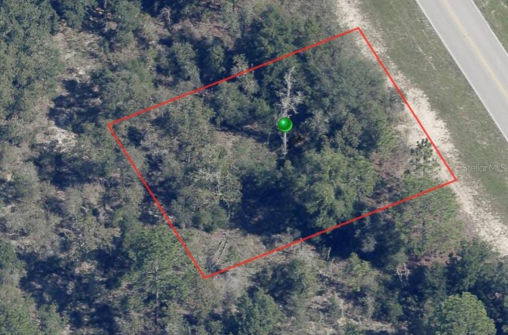 8260 N ELKCAM BOULEVARD, Citrus Springs, FL 34433