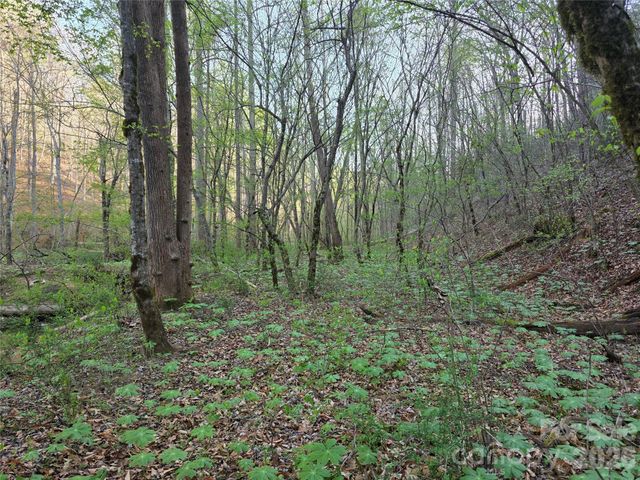 00 Mountain Creek Way, Marion, NC 28752