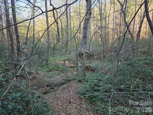 00 Mountain Creek Way, Marion, NC 28752