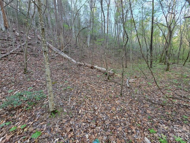 00 Mountain Creek Way, Marion, NC 28752