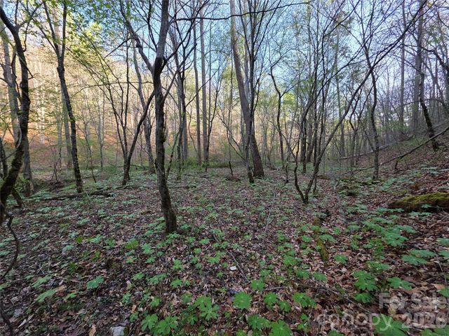 00 Mountain Creek Way, Marion, NC 28752